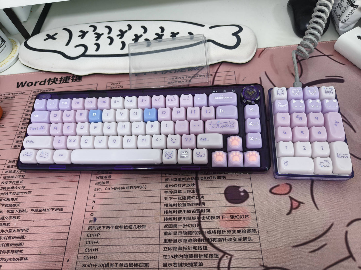 Customer Photo 3