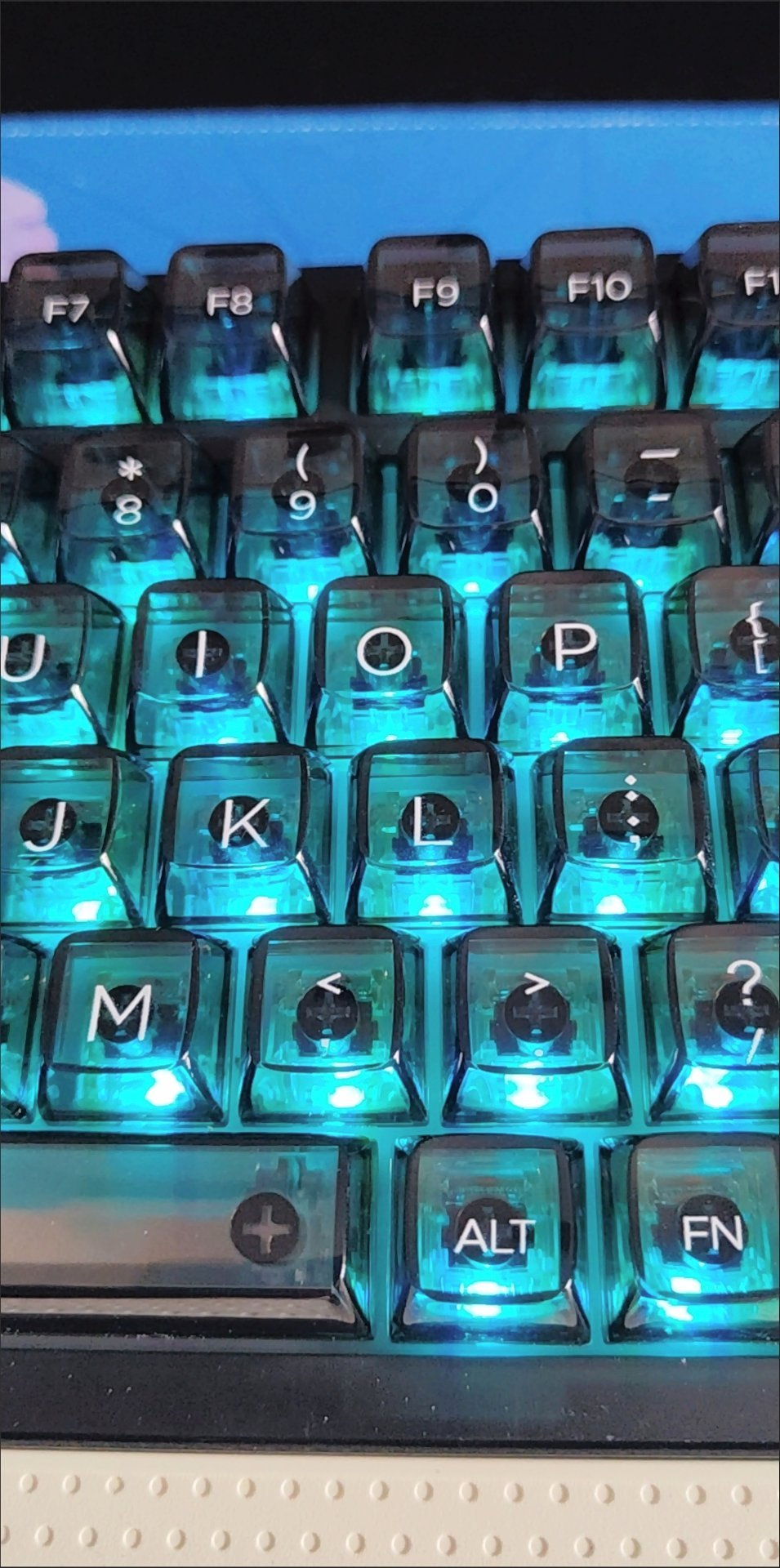 Real Photo 2