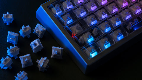 WS Morandi 5Pin Linear Switch