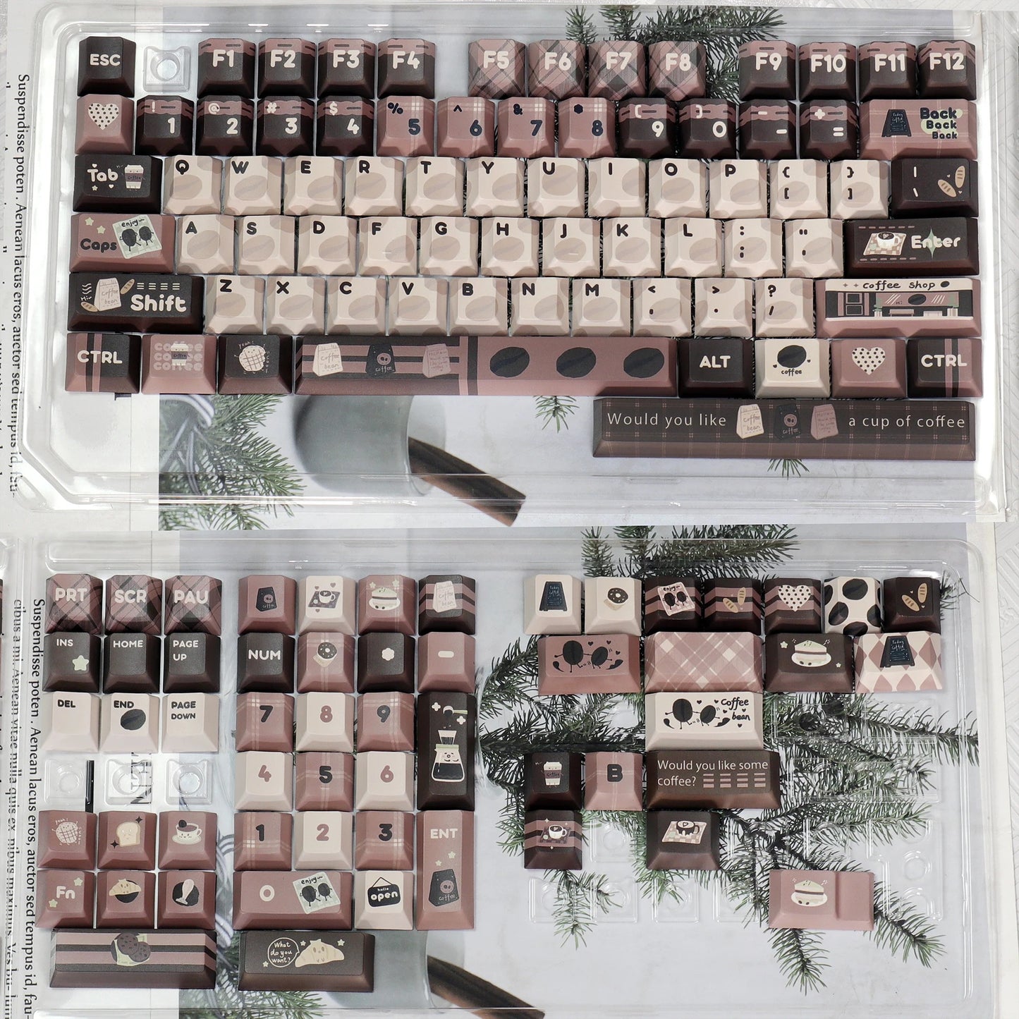Coffee Bean MOA