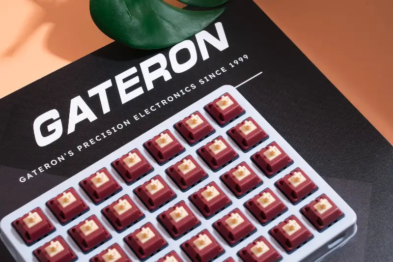 Gateron Quinn 5pin Tactile Switch