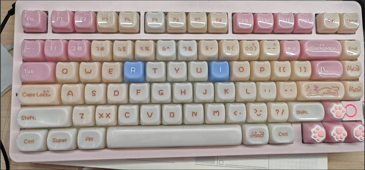 Customer Photo 4