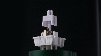 WS Morandi 5Pin Linear Switch