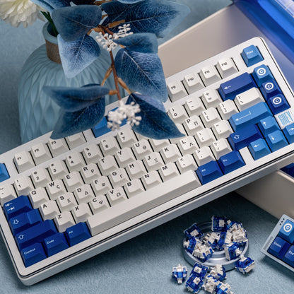 Blue Odyssey Cherry Profile 1.7mm PBT 120+ Keys Keycaps Set