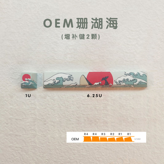 Coral Sea Spacebar Esc Combo OEM