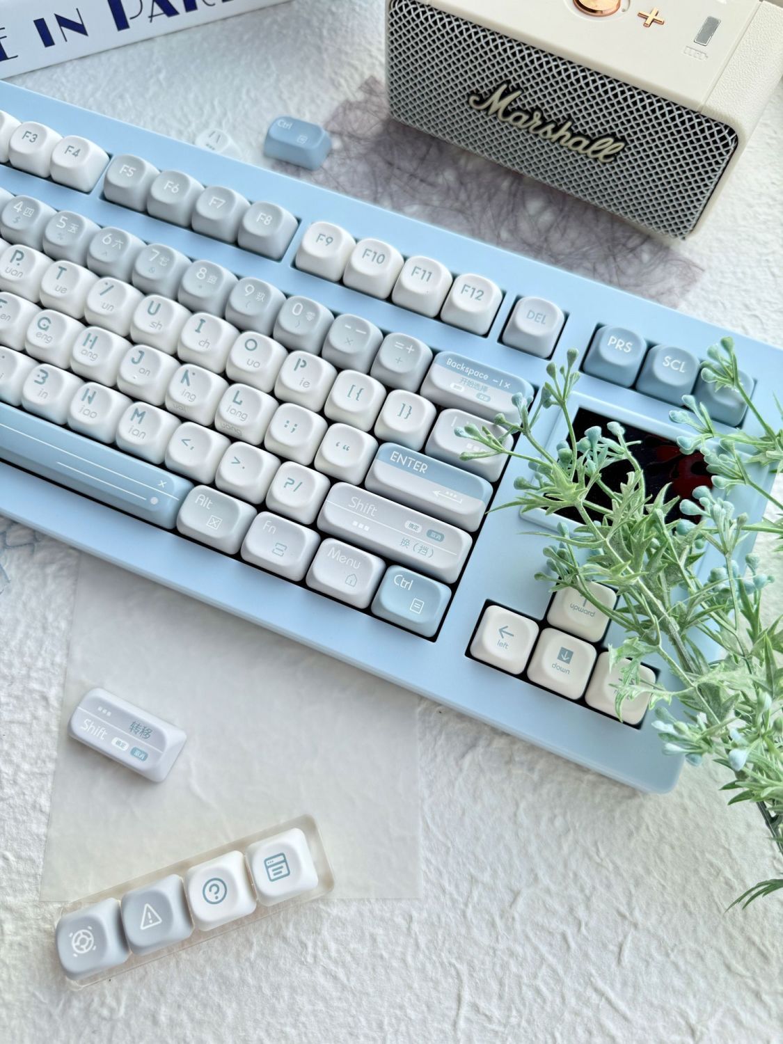 Blue Future QX3 (MOA) Profile 120 Keys Keycaps