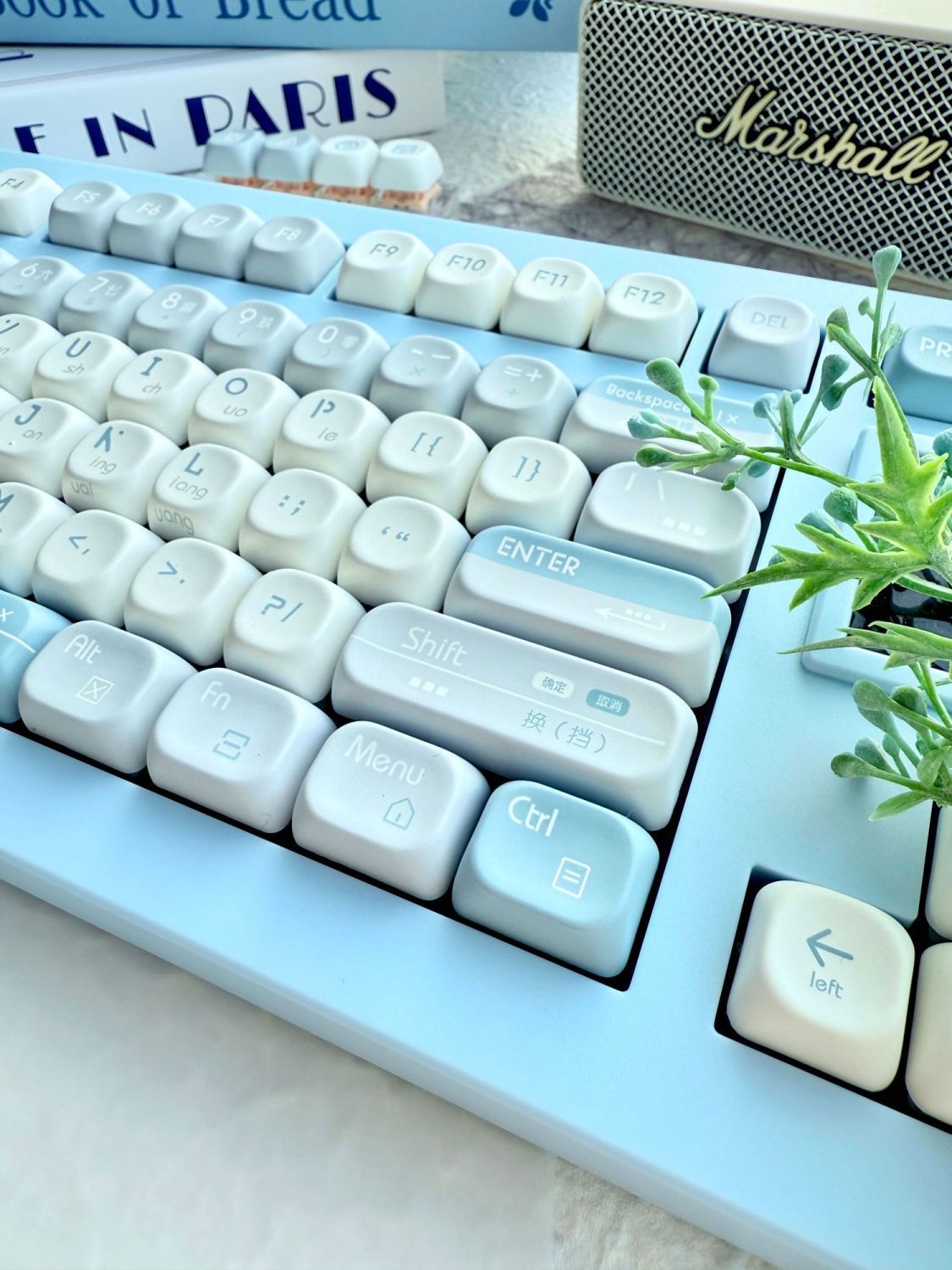 Blue Future QX3 (MOA) Profile 120 Keys Keycaps