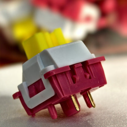 Leobog Nimbus Linear Switch in BD