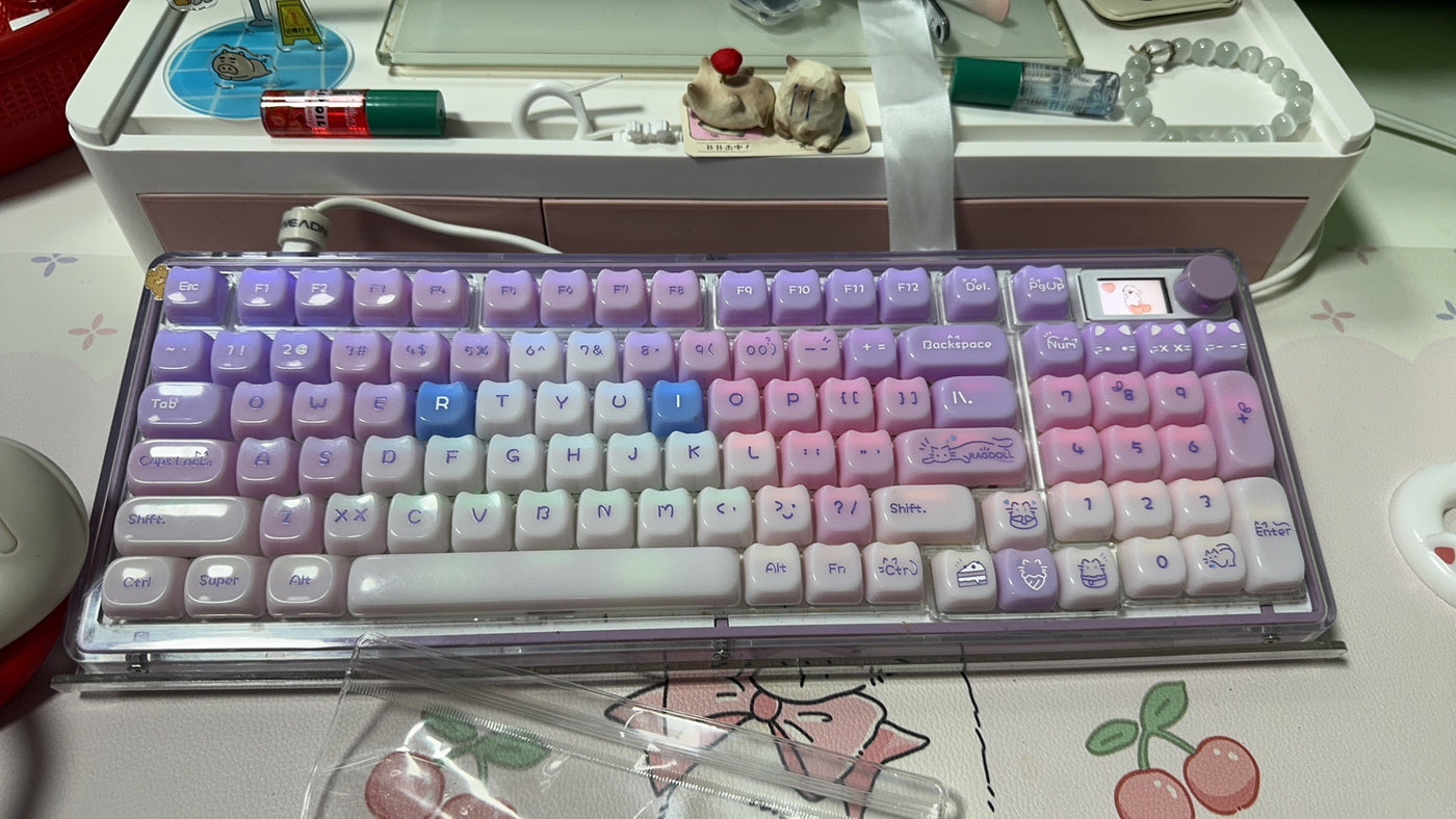 Customer Photo 5