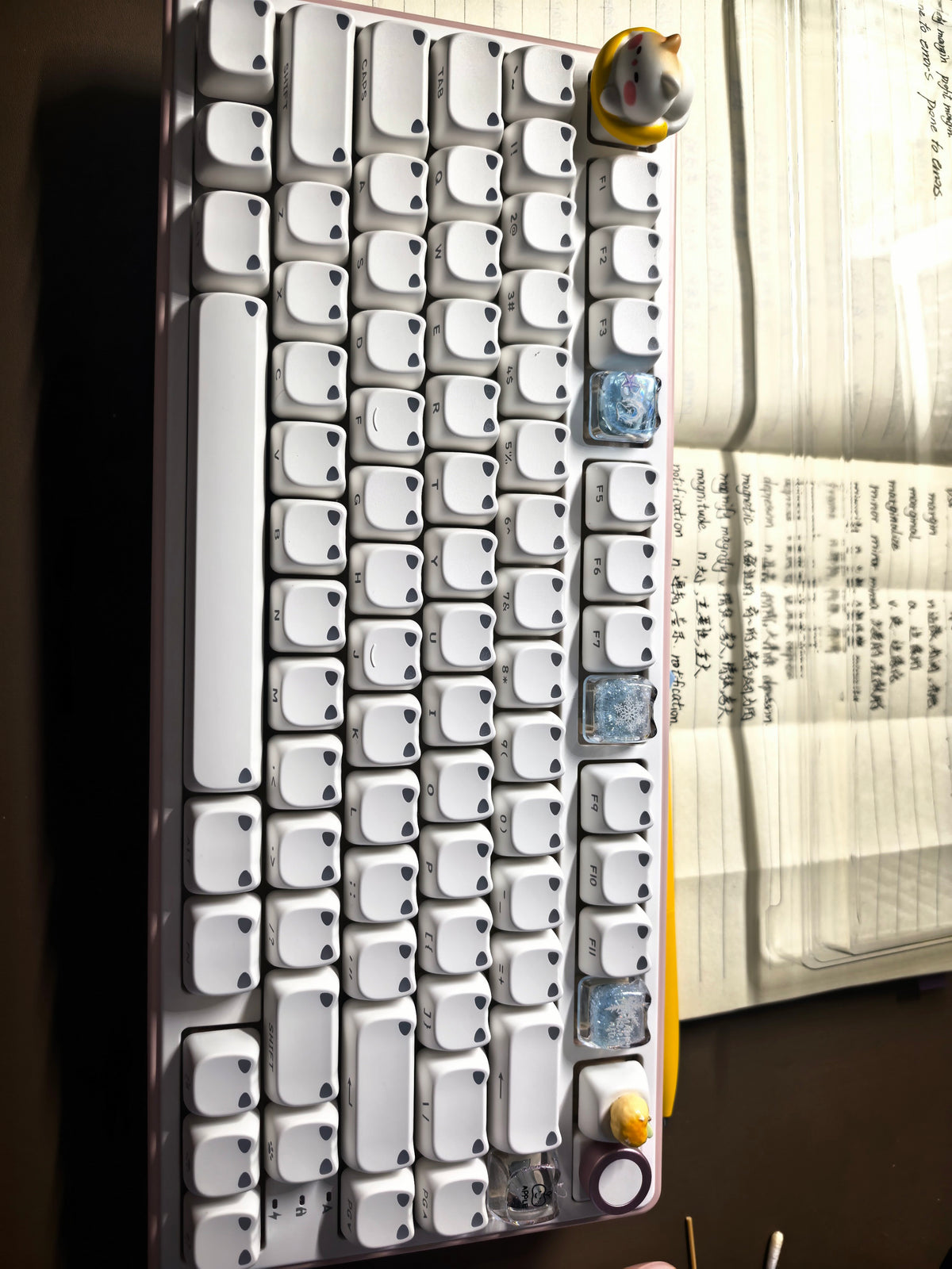 Real customer photo 2