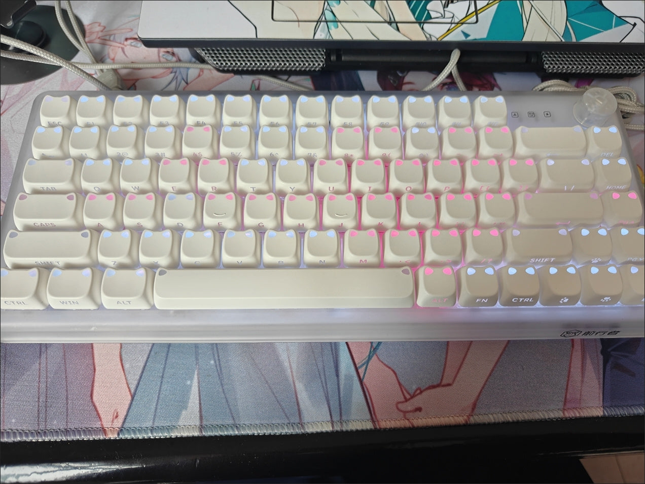 Real Photo 4