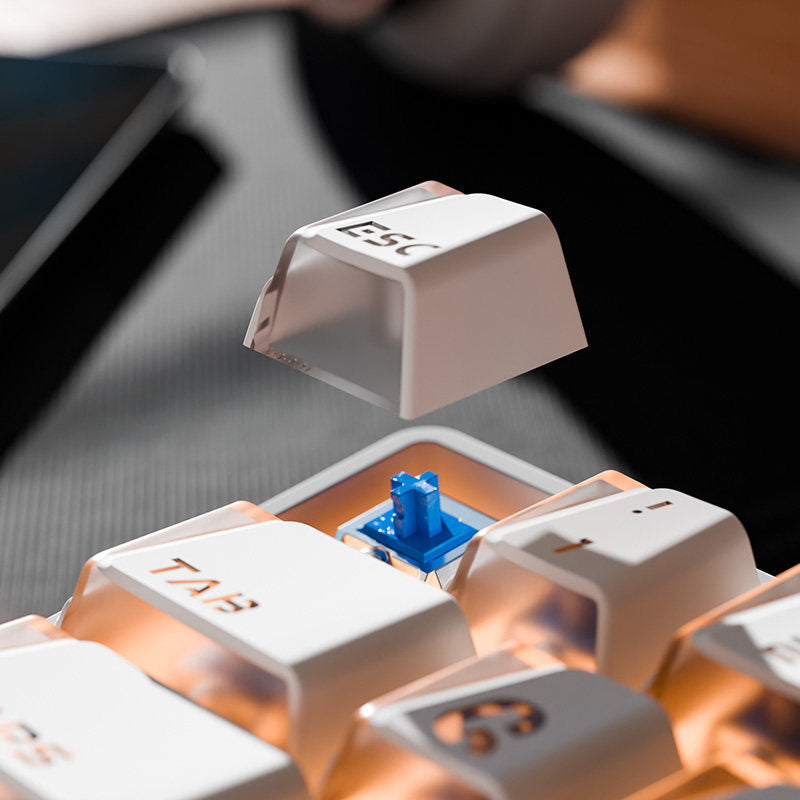 Titan Nation x XVX x GXD PRISM Refraction Cherry Profile Keycaps