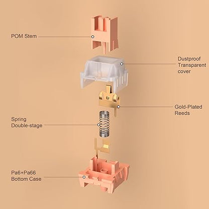 MageGee Ginger Cat 50g 3pin Linear Switch