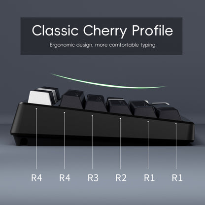 XVX WOB JP Legends Double Shot PBT Cherry Keycaps