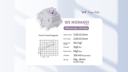WS Morandi 5Pin Linear Switch