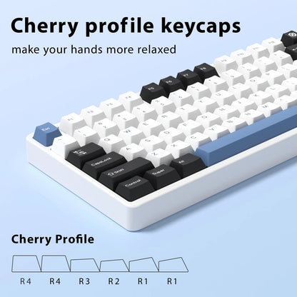 GMK Arctic Doubleshot PBT  Cherry