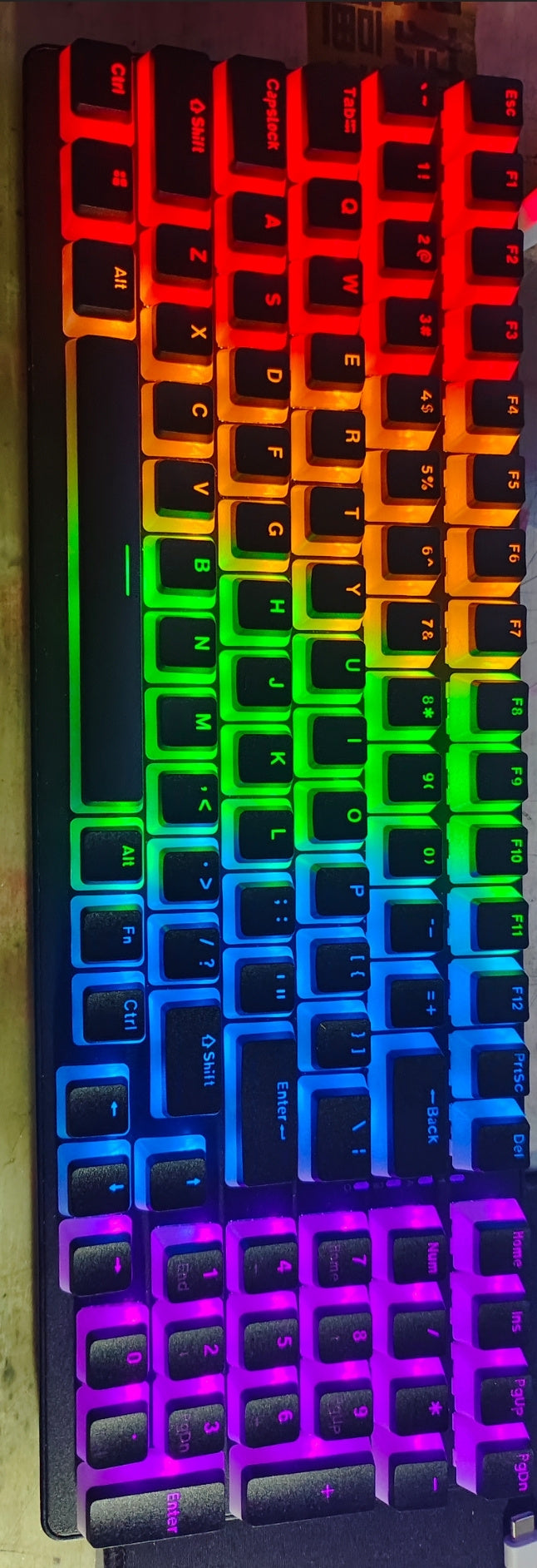 Customer Photo 5