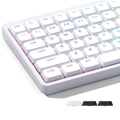 XVX Low Profile White ShineThrough Double Shot PBT Keycaps