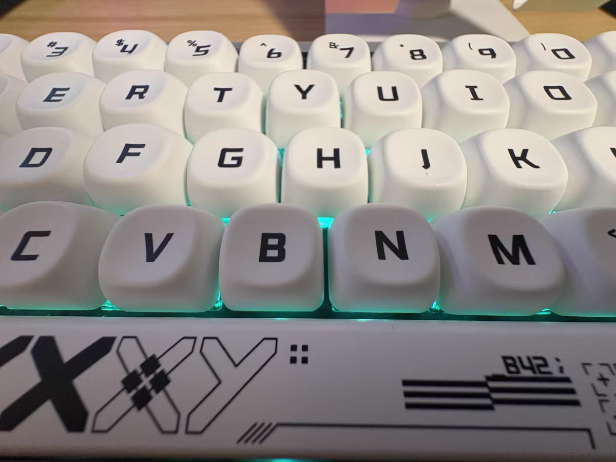 Real customer photo 2