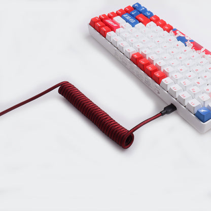 Red Non-Aviator Braided Coiled Cable Type-C Cable