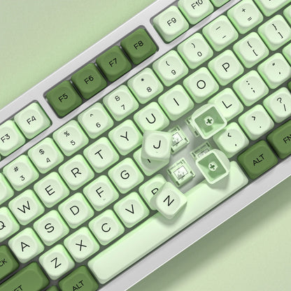 Matcha-EN KOA