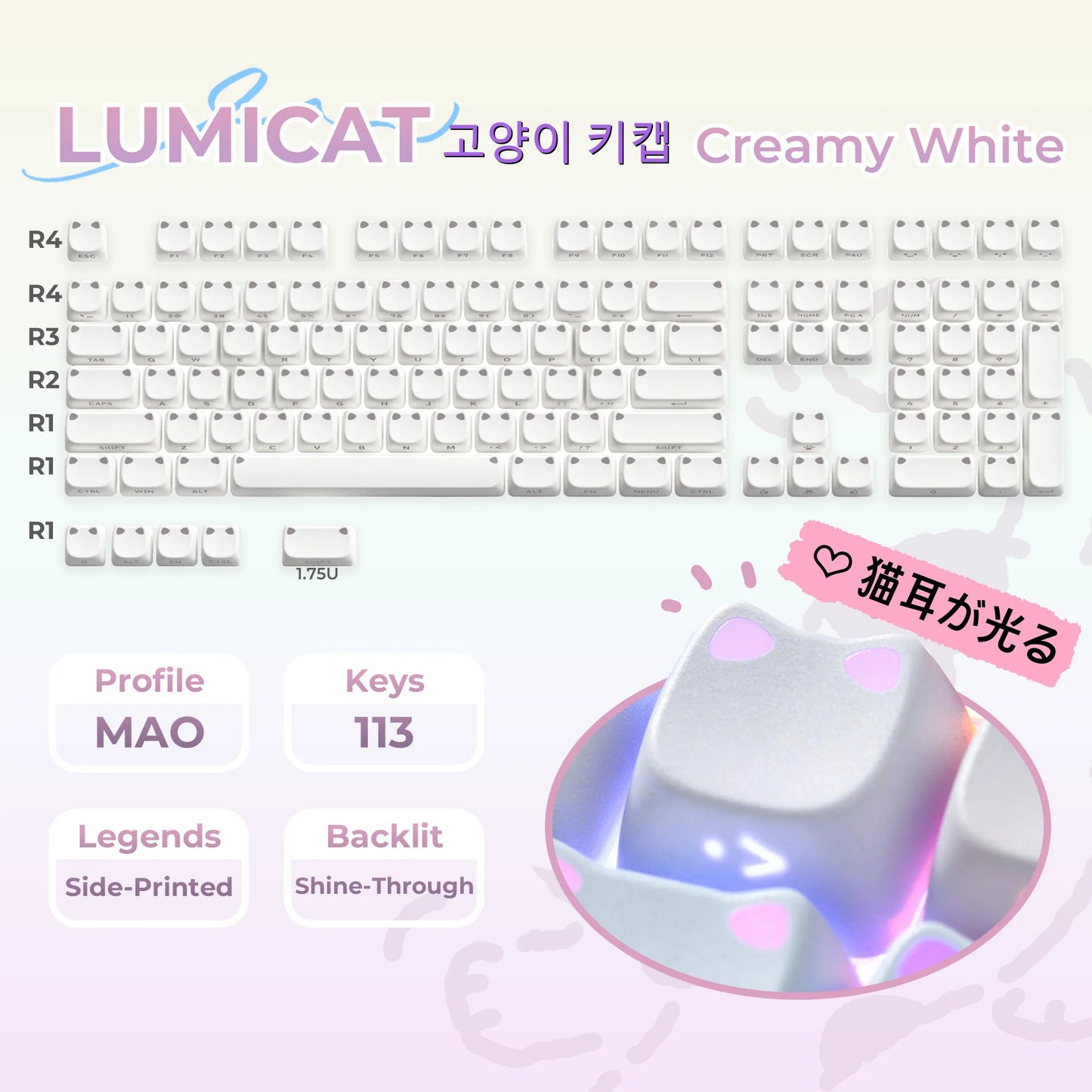 XVX Lumicat MAO Profile Shinethrough Keycaps Set