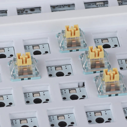 MMD Sea Salt Linear 5pin Switch