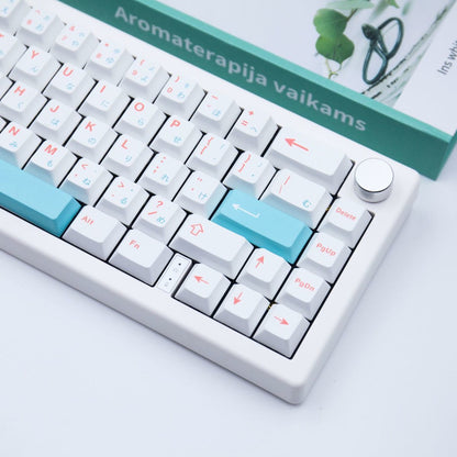 Minimal JP Legends Sky Blue Cherry PBT Keycaps Set Canned