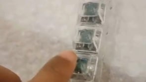 Transparent Switch Tester Keychain with Switch - 4 Key