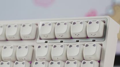 XVX Lumicat MAO Profile Shinethrough Keycaps Set