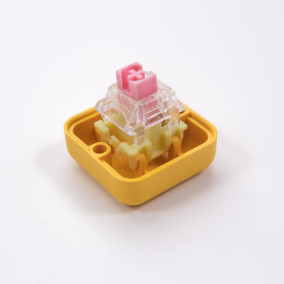 Switch Opener Plastic
