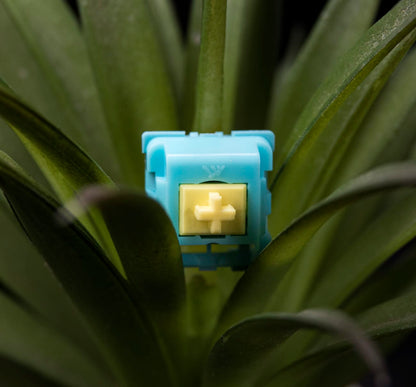 KTT Sea Salt Lemon 3Pin Linear Switch